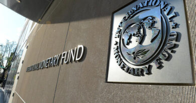 IMF Nedir?
